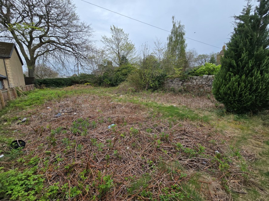Lot Image