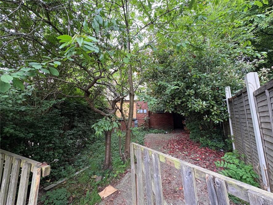 Lot Image