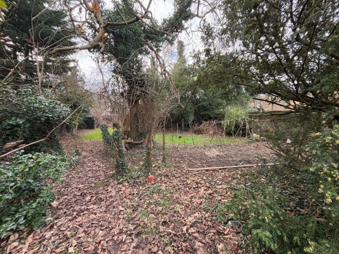 Lot Image