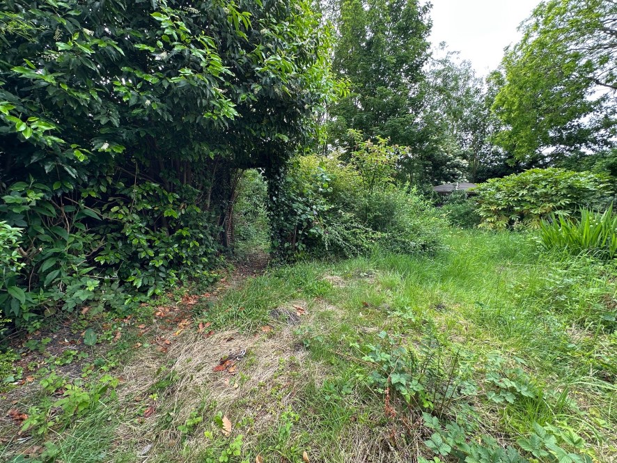 Lot Image