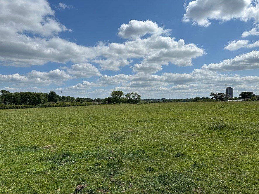 Lot Image