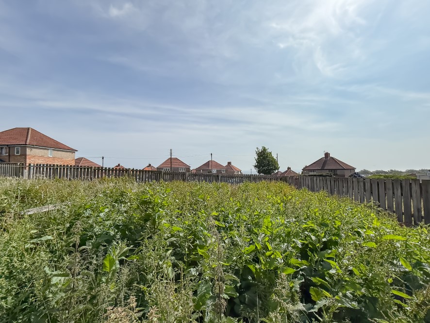 Lot Image