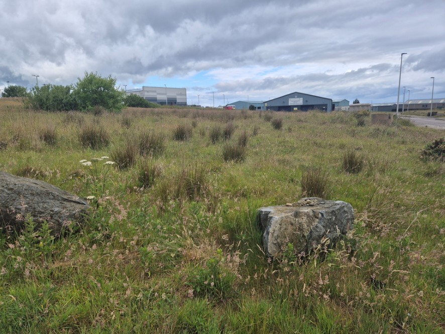 Lot Image
