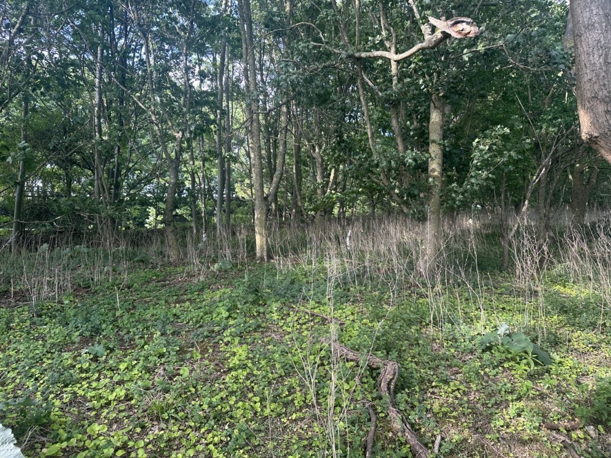 Lot Image
