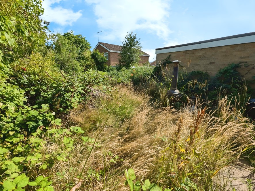 Lot Image