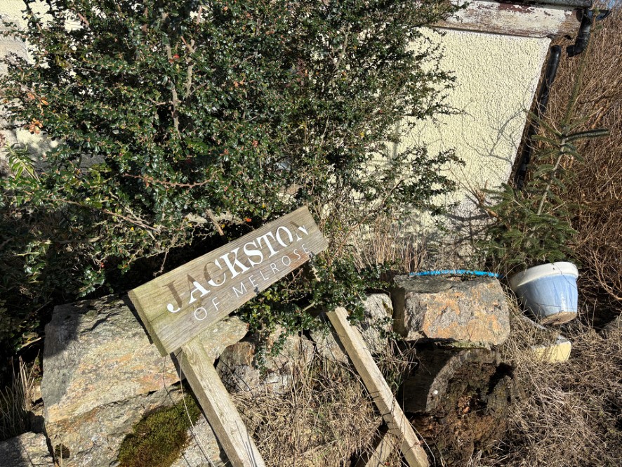 Lot Image