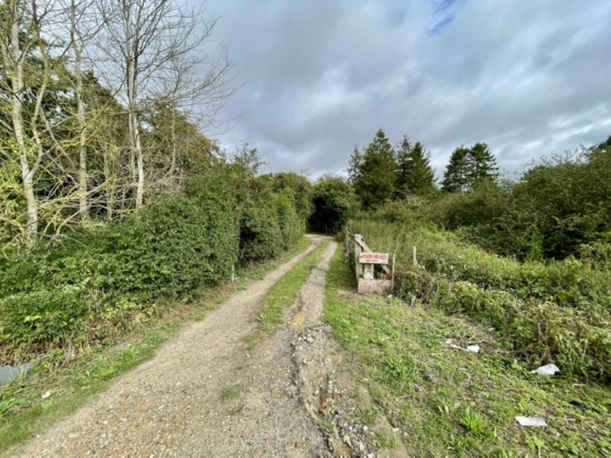 Lot Image