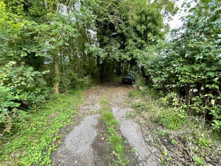 Lot Image