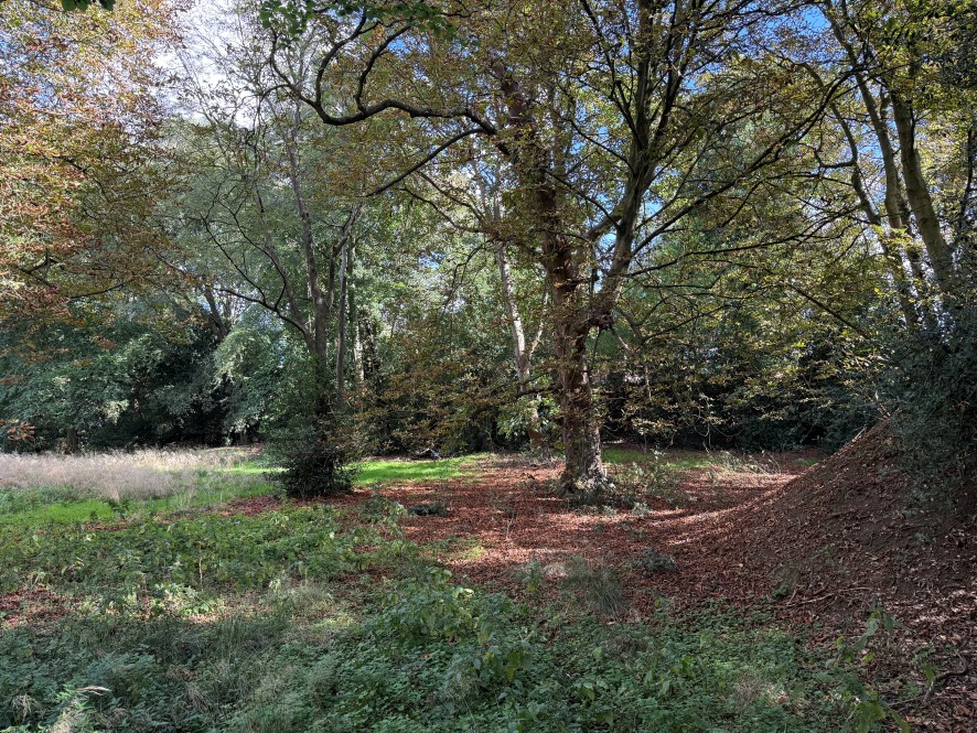 Lot Image