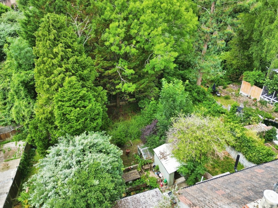Lot Image