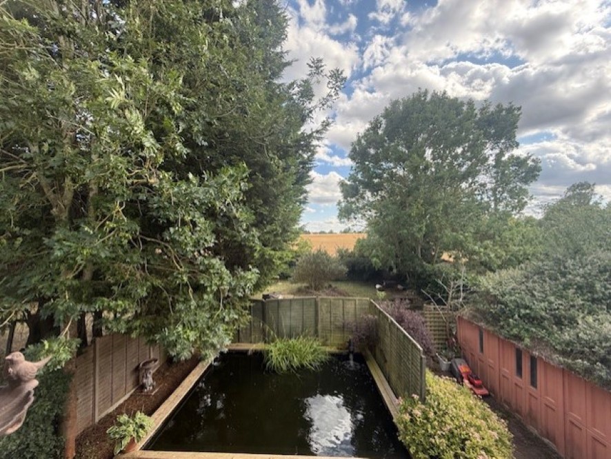 Lot Image