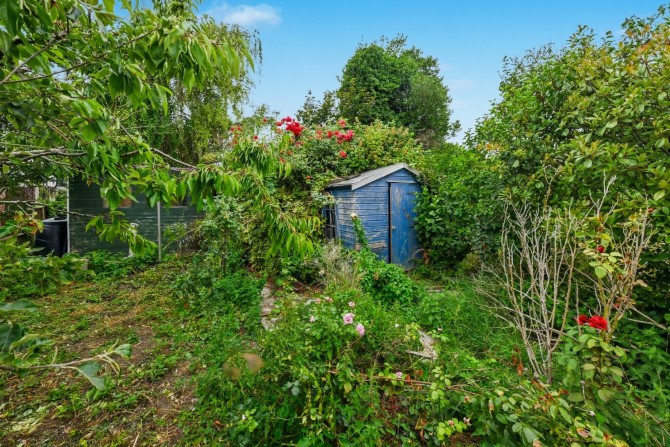 Lot Image