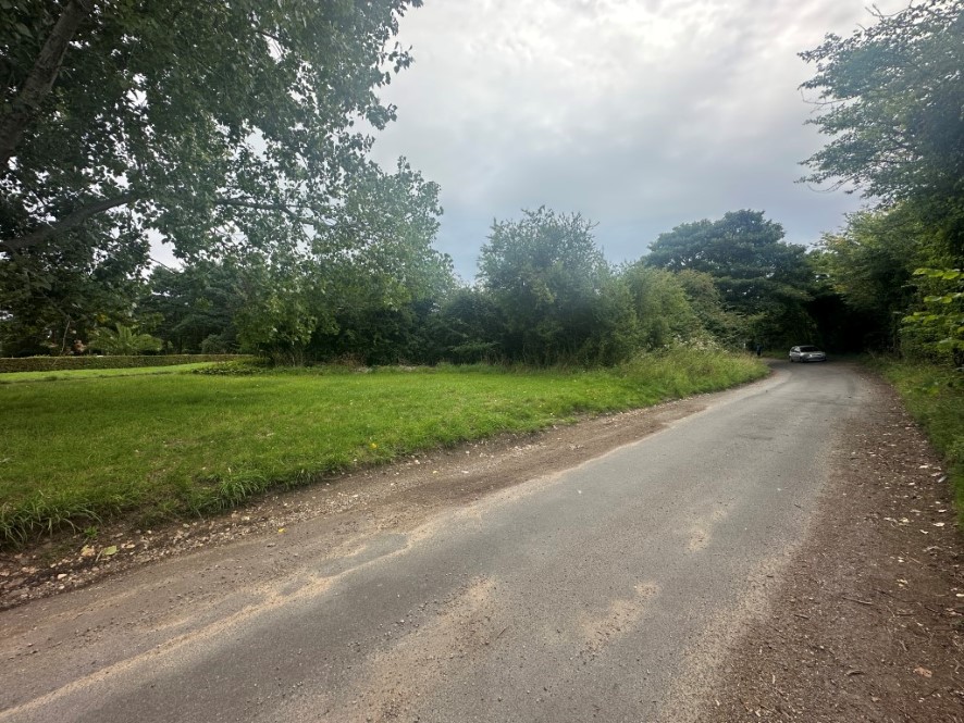 Lot Image