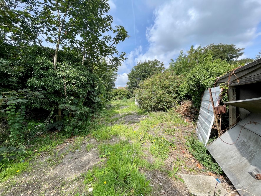 Lot Image