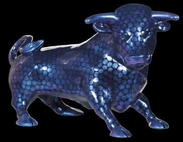 Property for Auction in Birmingham - Irresisti-Bull, By Emily Tyler