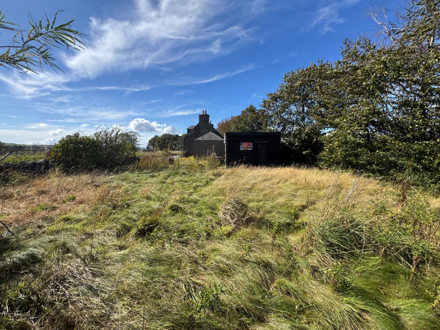 Lot Image