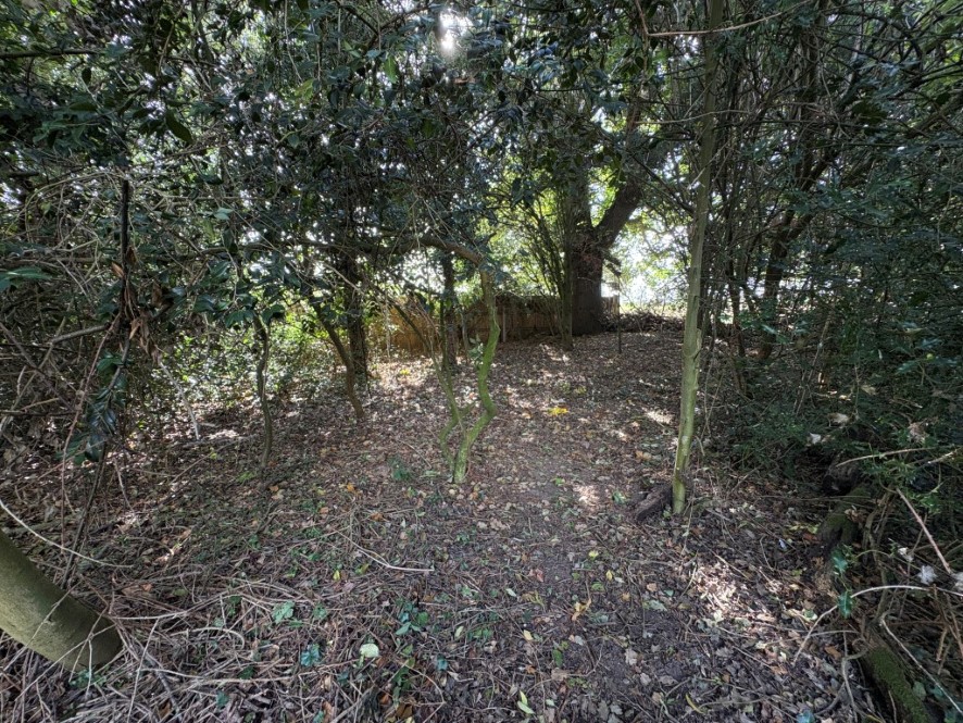 Lot Image