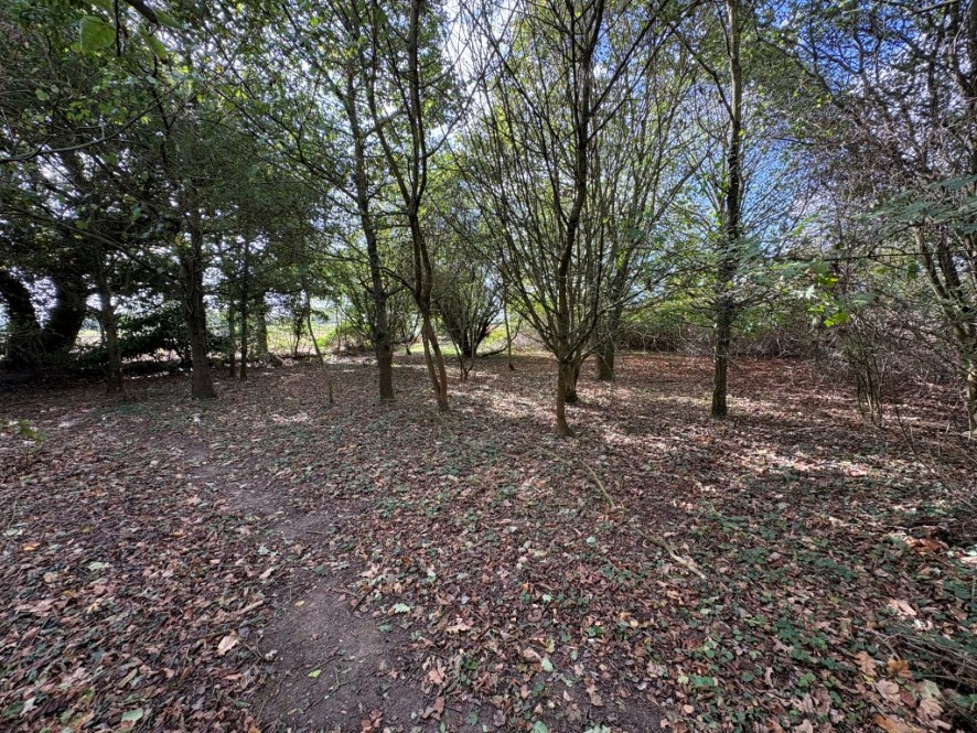 Lot Image