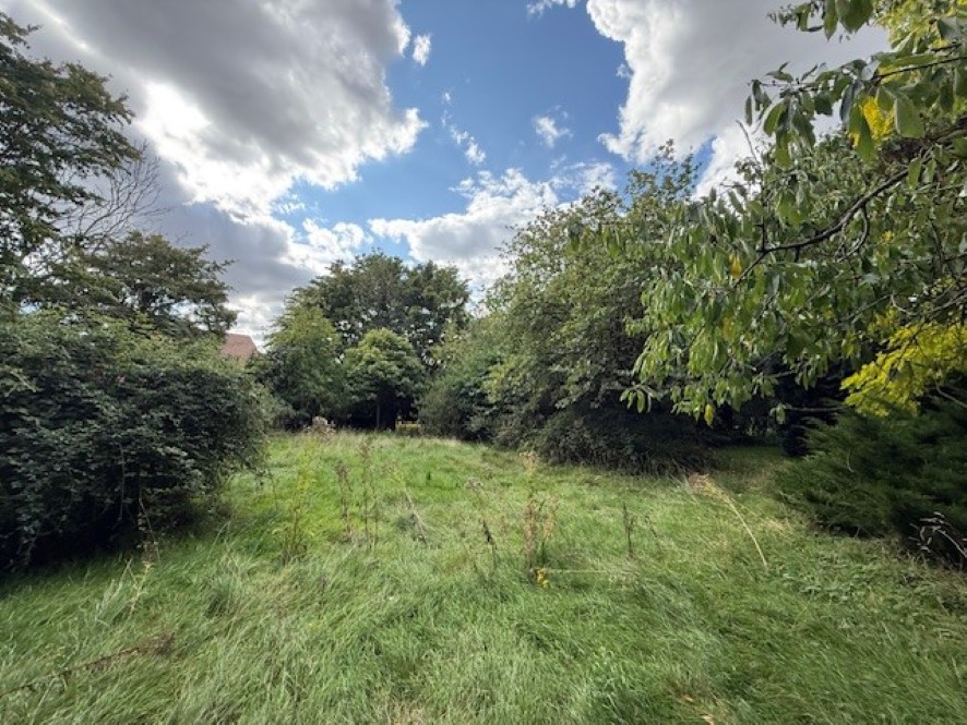 Lot Image