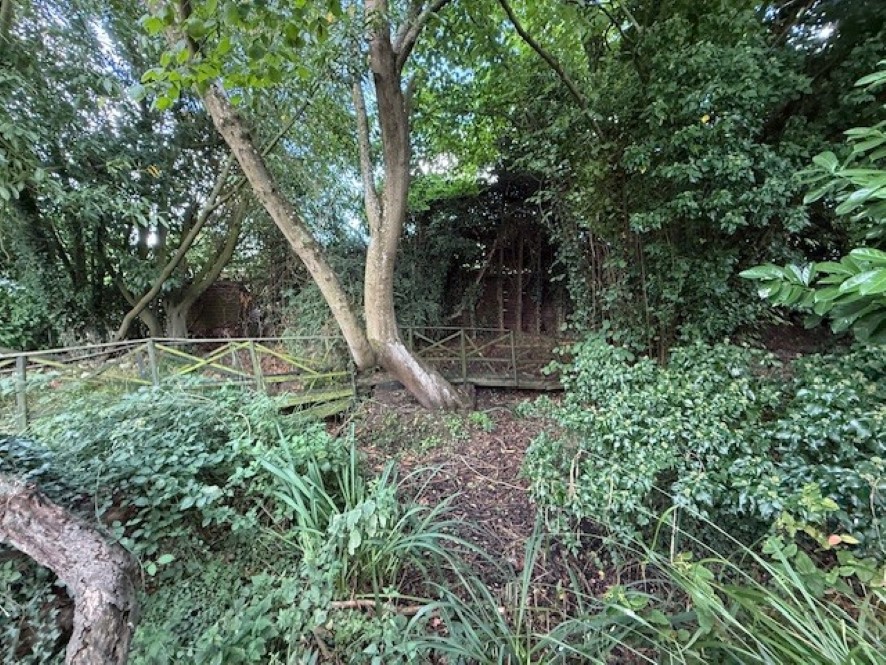 Lot Image