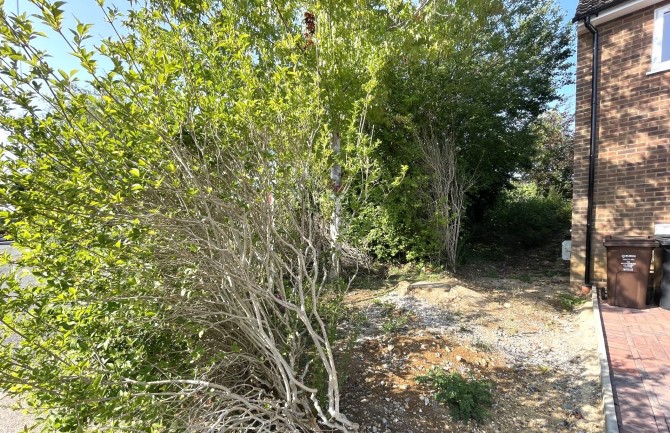 Lot Image