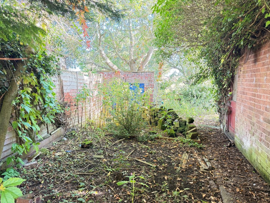 Lot Image