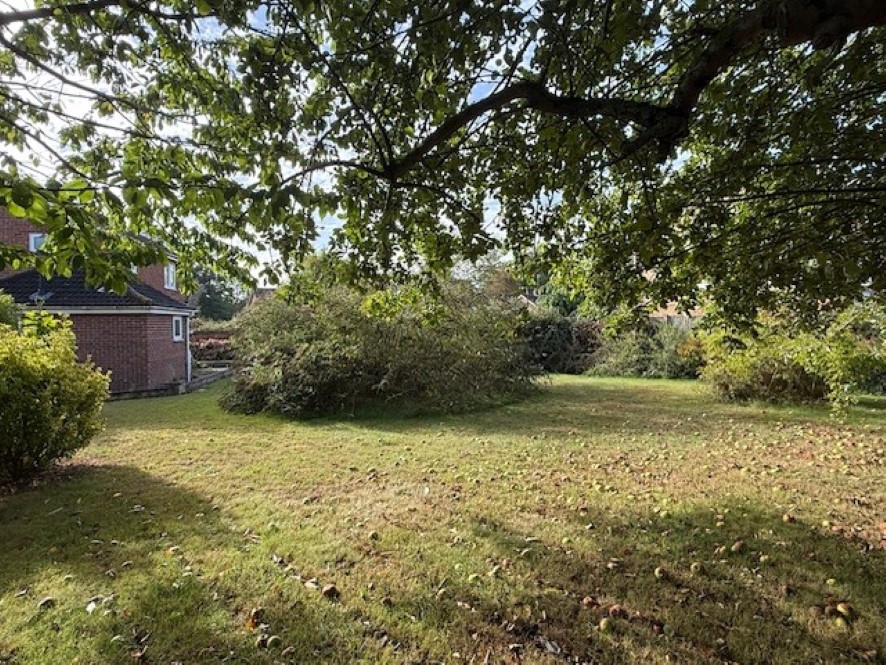 Lot Image
