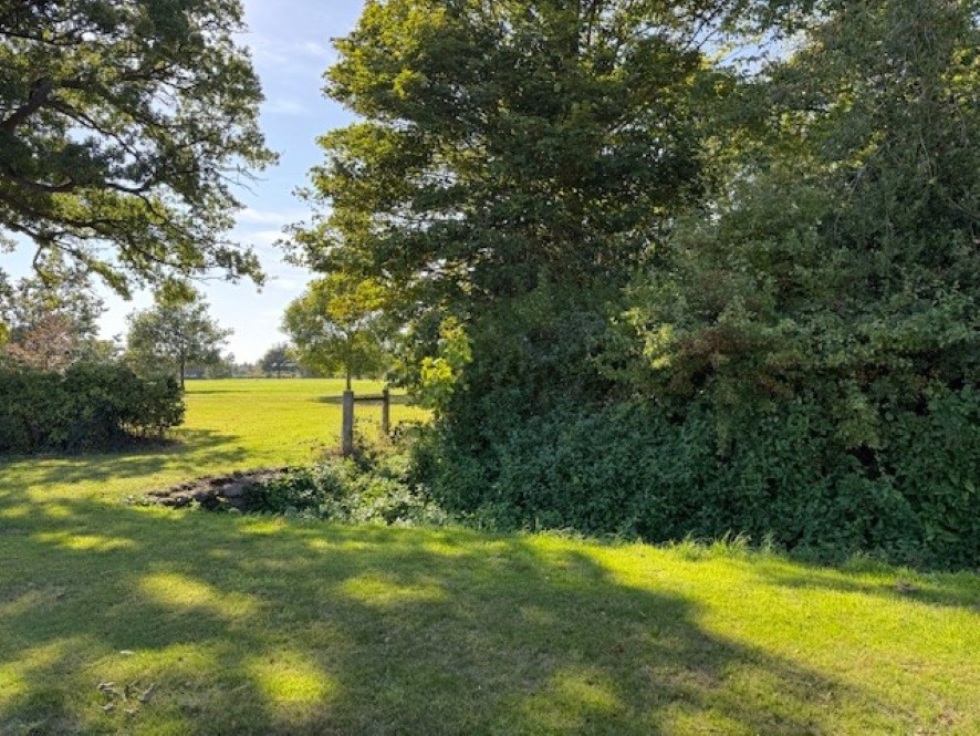 Lot Image