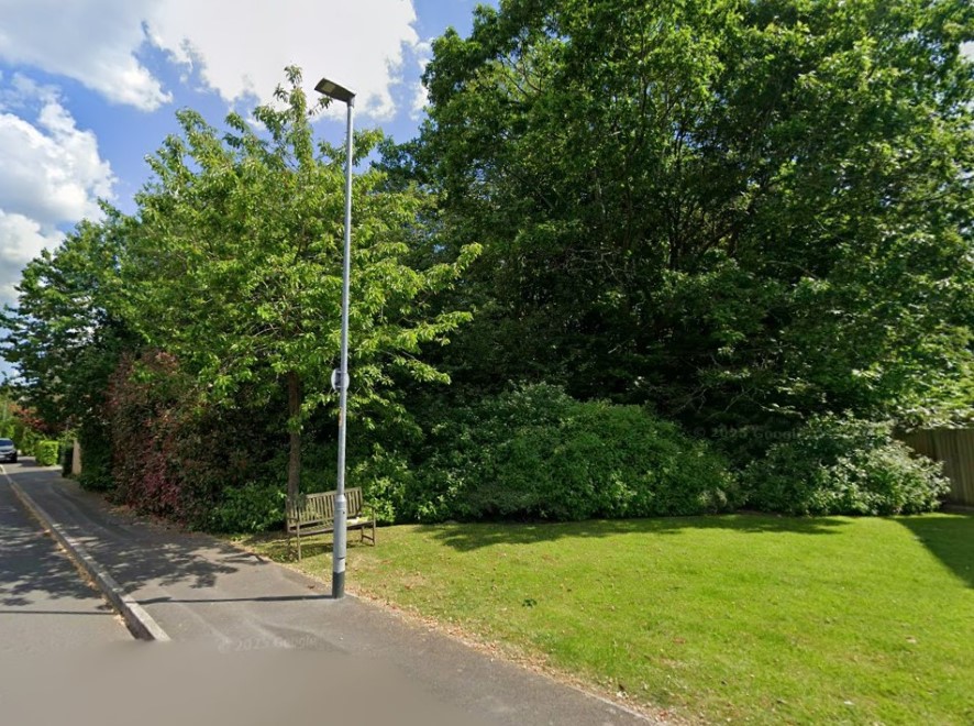 Lot Image