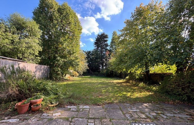Lot Image