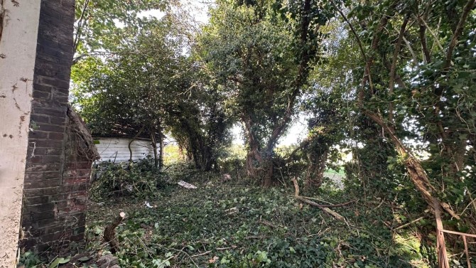 Lot Image