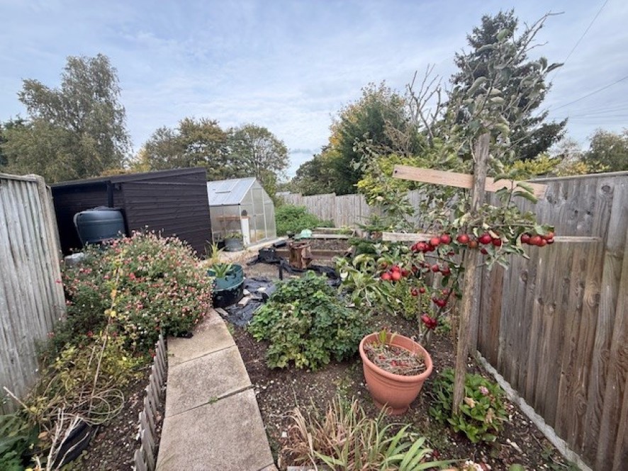 Lot Image