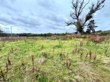 Property for Auction in Cumbria - Building Plot, Barkby Byre, Dirtup, Roadhead, Carlisle, Cumbria CA6 6PF