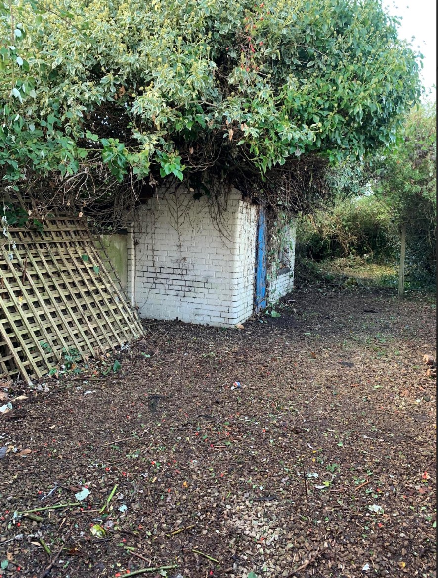Lot Image