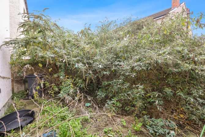 Lot Image