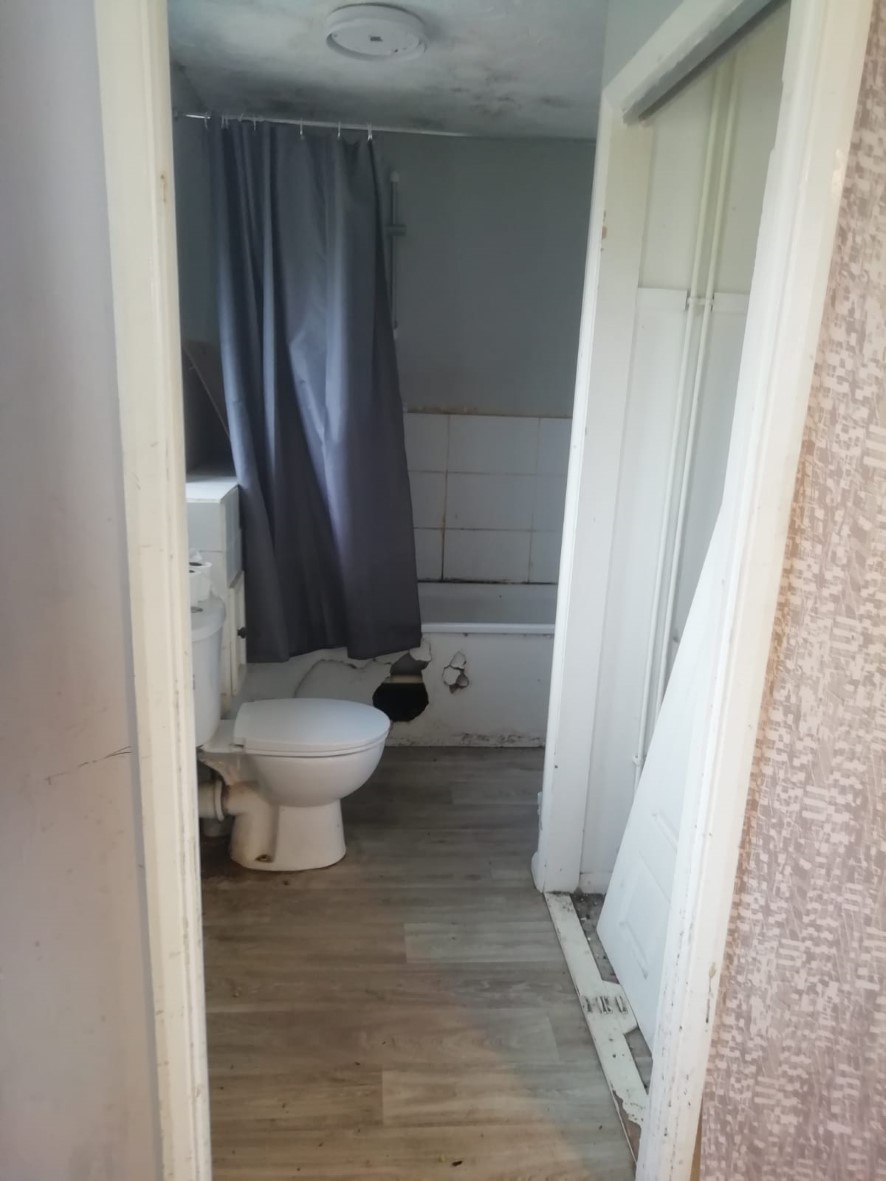 Lot Image