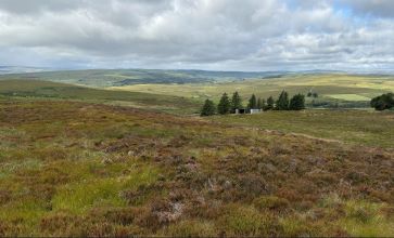 Property for Auction in North East - Land on the South-East side of Sundaysight, Bellingham, Hexham,, Northumberland, Newcastle upon Tyne NE48 2JE