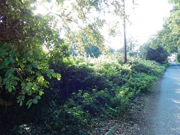 Property for Auction in East Anglia - Land off The Street, Sculthorpe, Fakenham, Norfolk NR21 9QD