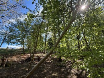 Property for Auction in East Anglia - Muchness Woods, Sheringwood, Beeston Regis, Norfolk NR26 8TS
