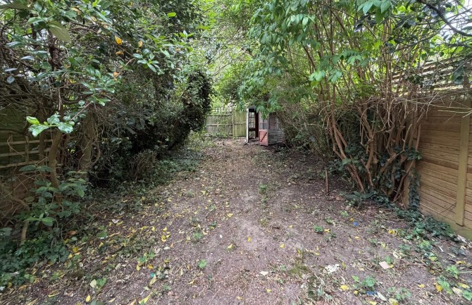 Lot Image