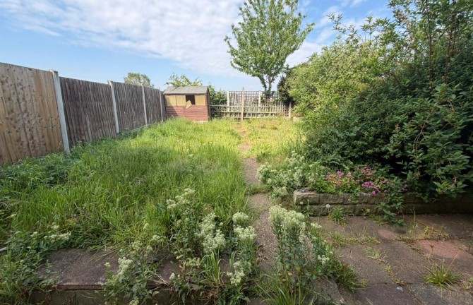 Lot Image