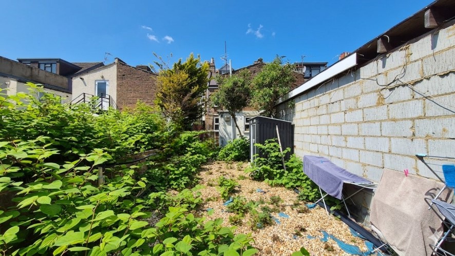 Lot Image