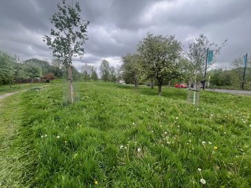Property for Auction in North West - Land on the East Side of Ashton Road , & the South Side of Marland Fold Lane , Bardsley , Greater Manchester OL8 2TH