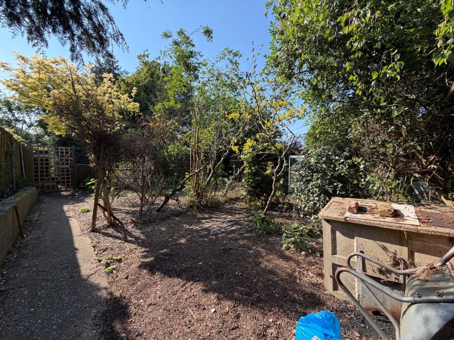 Lot Image