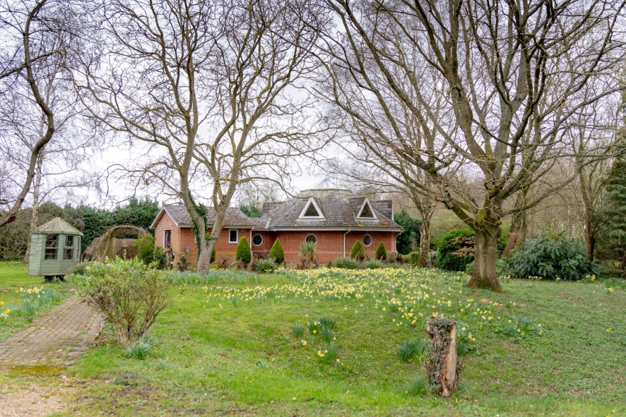 Lot Image