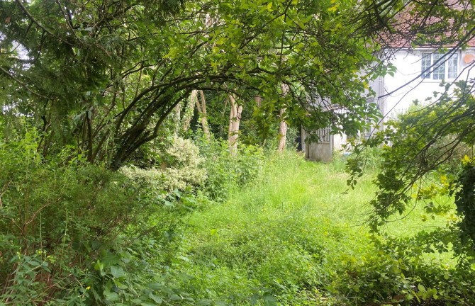 Lot Image