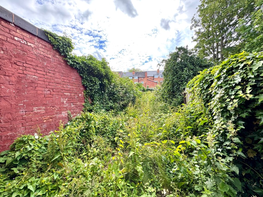 Lot Image