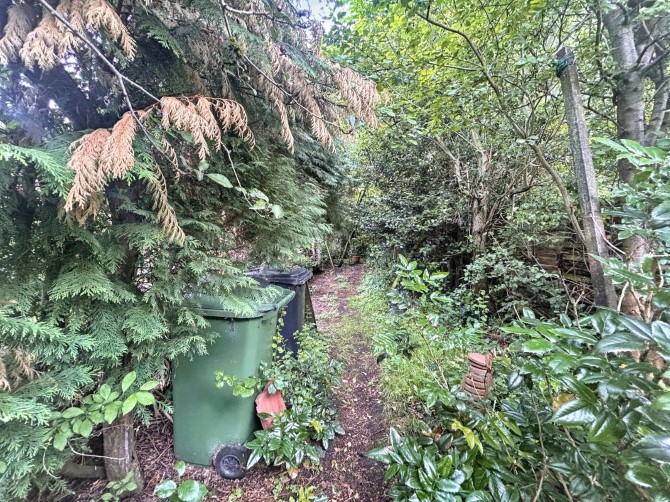 Lot Image
