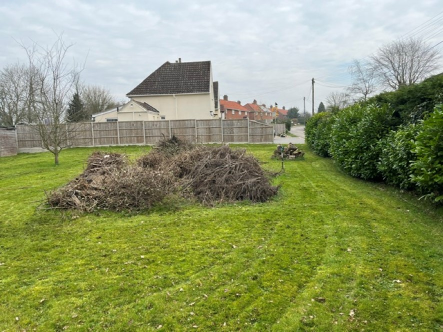 Lot Image