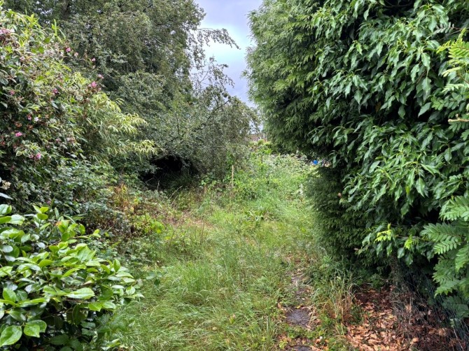 Lot Image